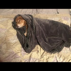 Meet your Posher, Gregory